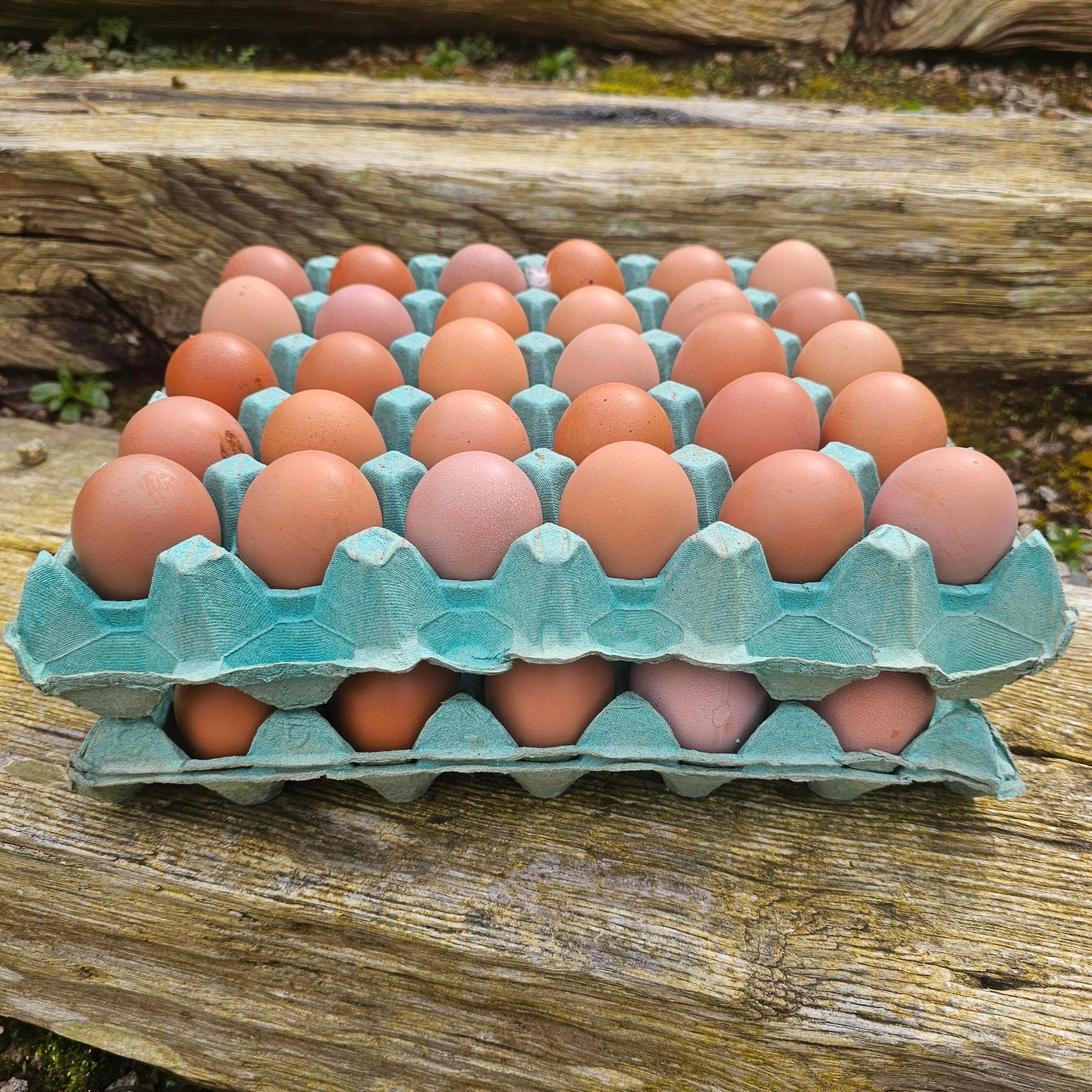Tray of Eggs (30)