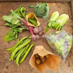 Image of Medium Box